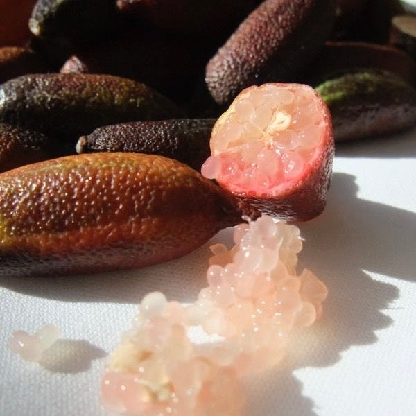 Caviar Lime exfoliating ingredient